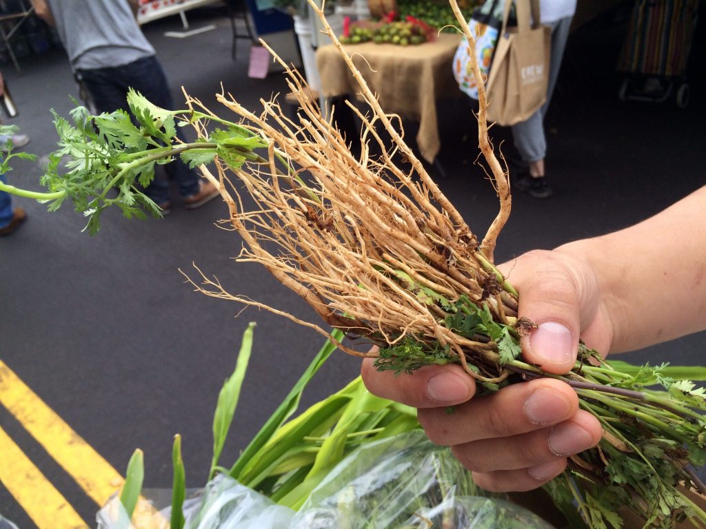 Cilantro roots: Can you dig it? | KCRW Good Food