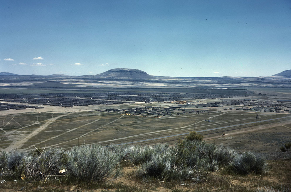 after t number social security Farming barbed wire: remember Japanese Americans behind