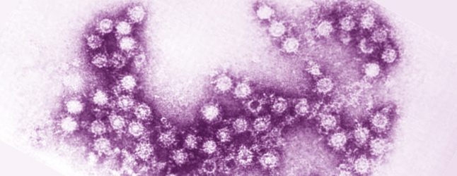 First cases of enterovirus D68 detected in Los Angeles - For The Curious
